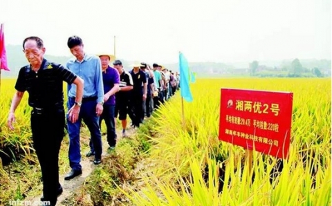 袁隆平“超級稻”不超級 商標(biāo)涉嫌虛假宣傳