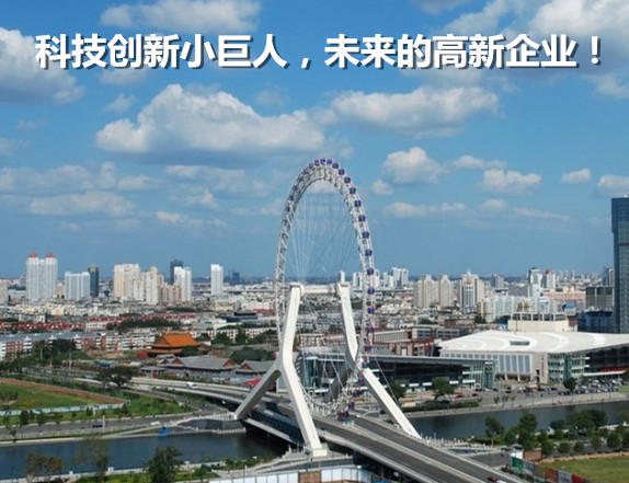 科技創新小巨人企業